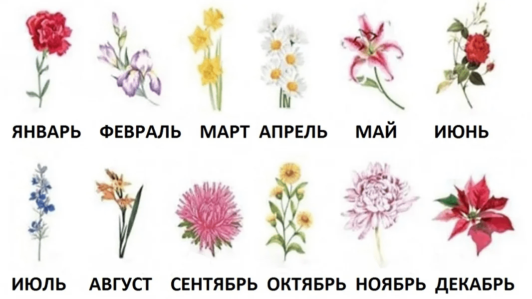 За какие цветы срок